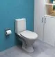 Икона